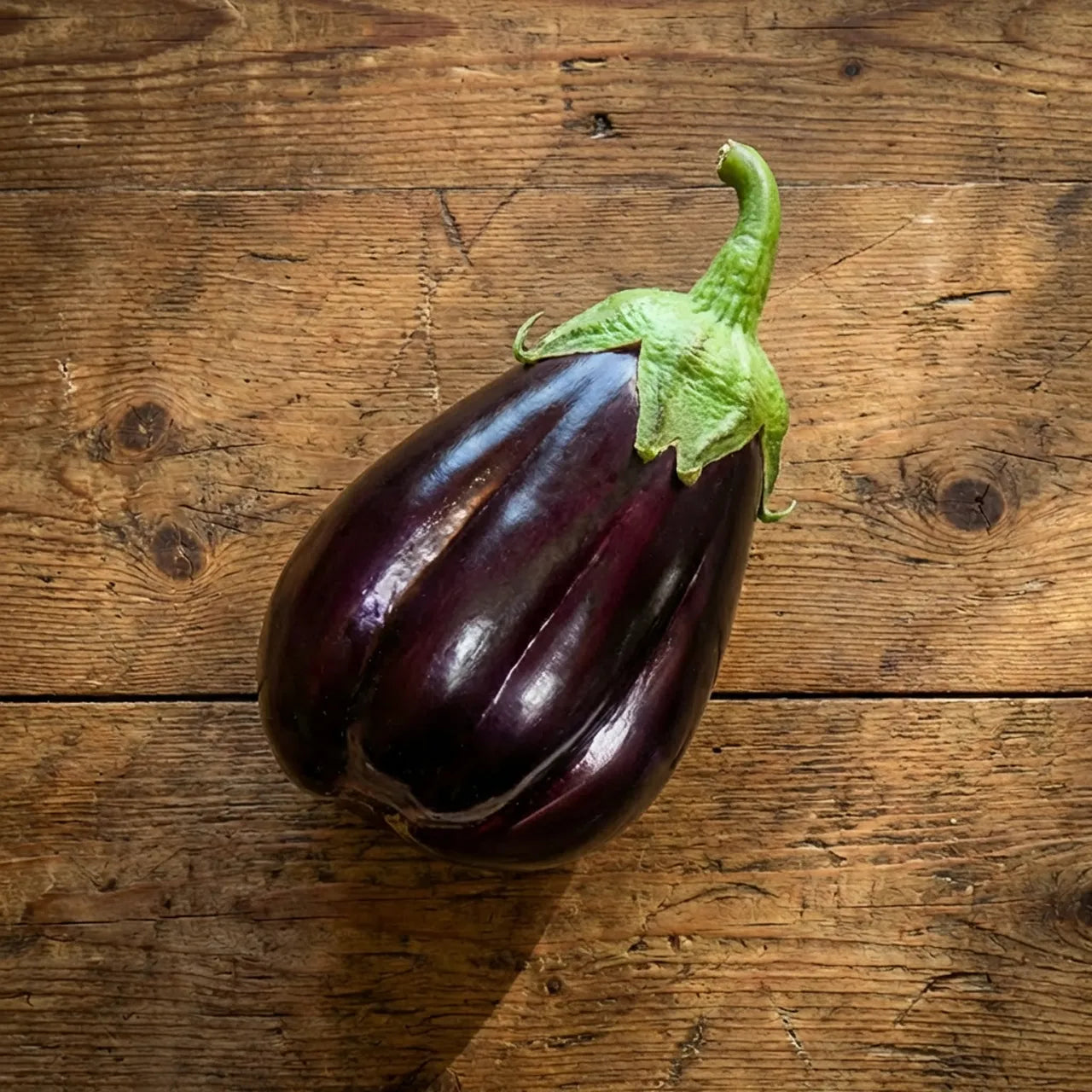 Melanzana Nera Bio (Varietà Sciacchitana)