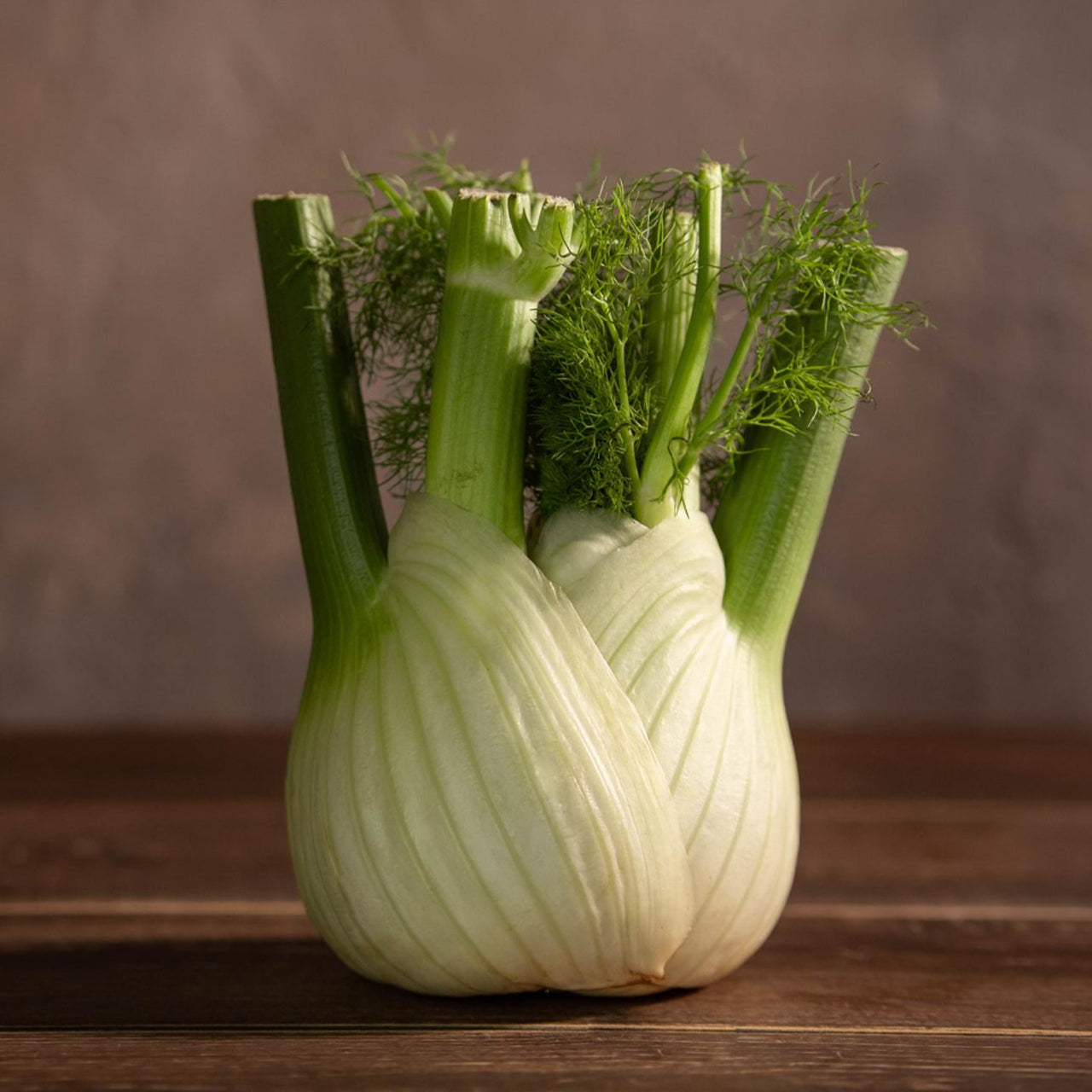 Finocchi Freschi BIO