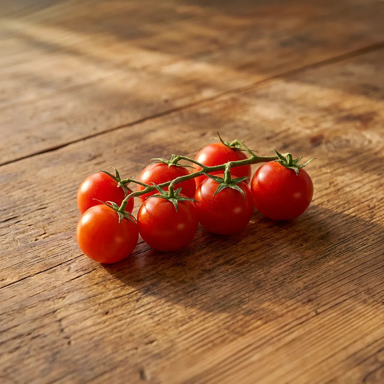 Pomodoro Ciliegino BIO